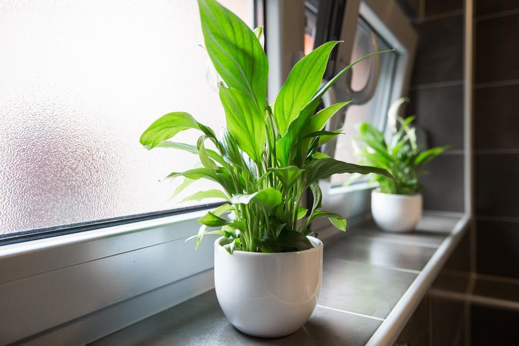 Apartment Max 萨格勒布 外观 照片